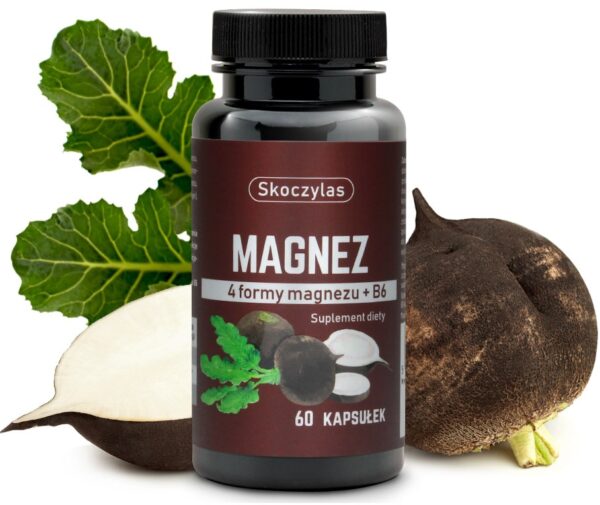 SKOCZYLAS MAGNEZ 4 formy, witamina B6, czarna rzepa SuryaPrema