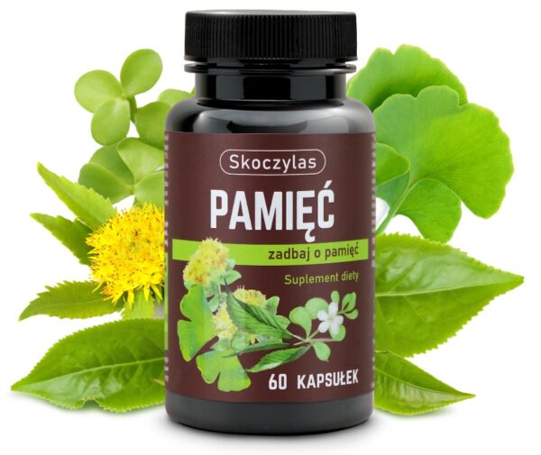 SKOCZYLAS PAMIĘĆ miłorząb, bakopa, ginkgo biloba, różeniec SuryaPrema